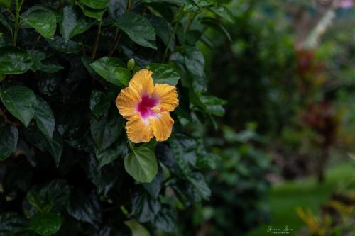 4O1A5380-Edit